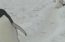 情侣小视频国产区,国产情侣小视频甜蜜瞬间大盘点