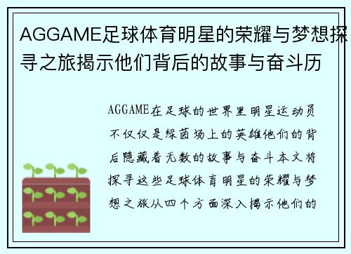 AGGAME足球体育明星的荣耀与梦想探寻之旅揭示他们背后的故事与奋斗历程